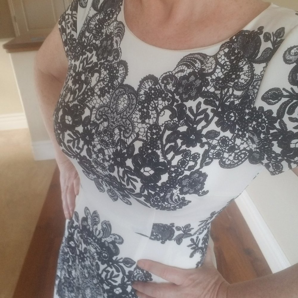 ADRIANNA PAPELL FLARE DRESS I *WORN ONCE*